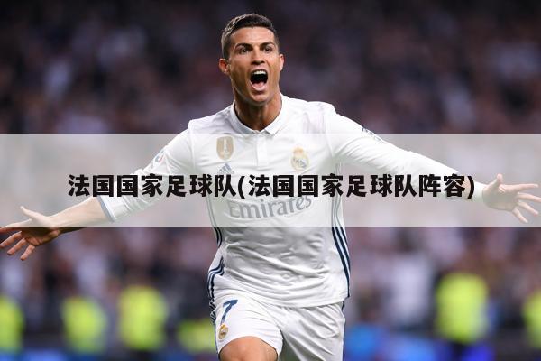 法国国家足球队(法国国家足球队阵容)