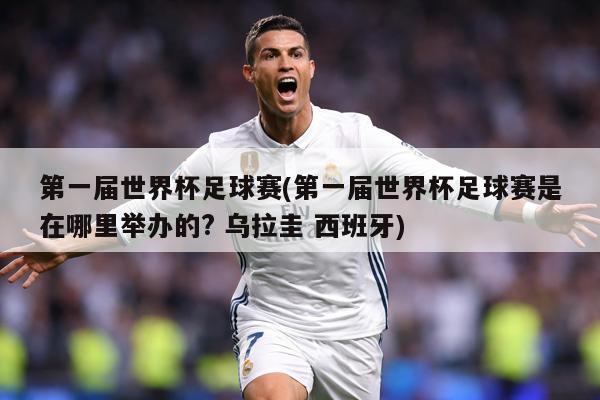 第一届世界杯足球赛(第一届世界杯足球赛是在哪里举办的? 乌拉圭 西班牙)