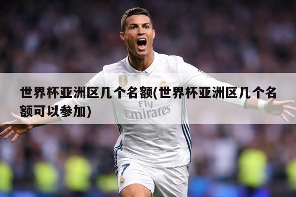 世界杯亚洲区几个名额(世界杯亚洲区几个名额可以参加)