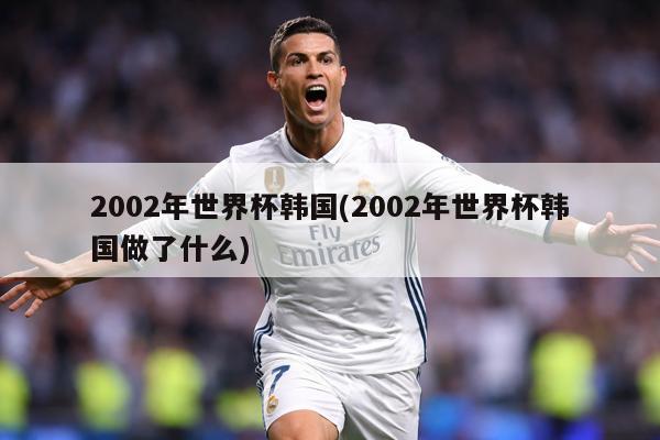 2002年世界杯韩国(2002年世界杯韩国做了什么)